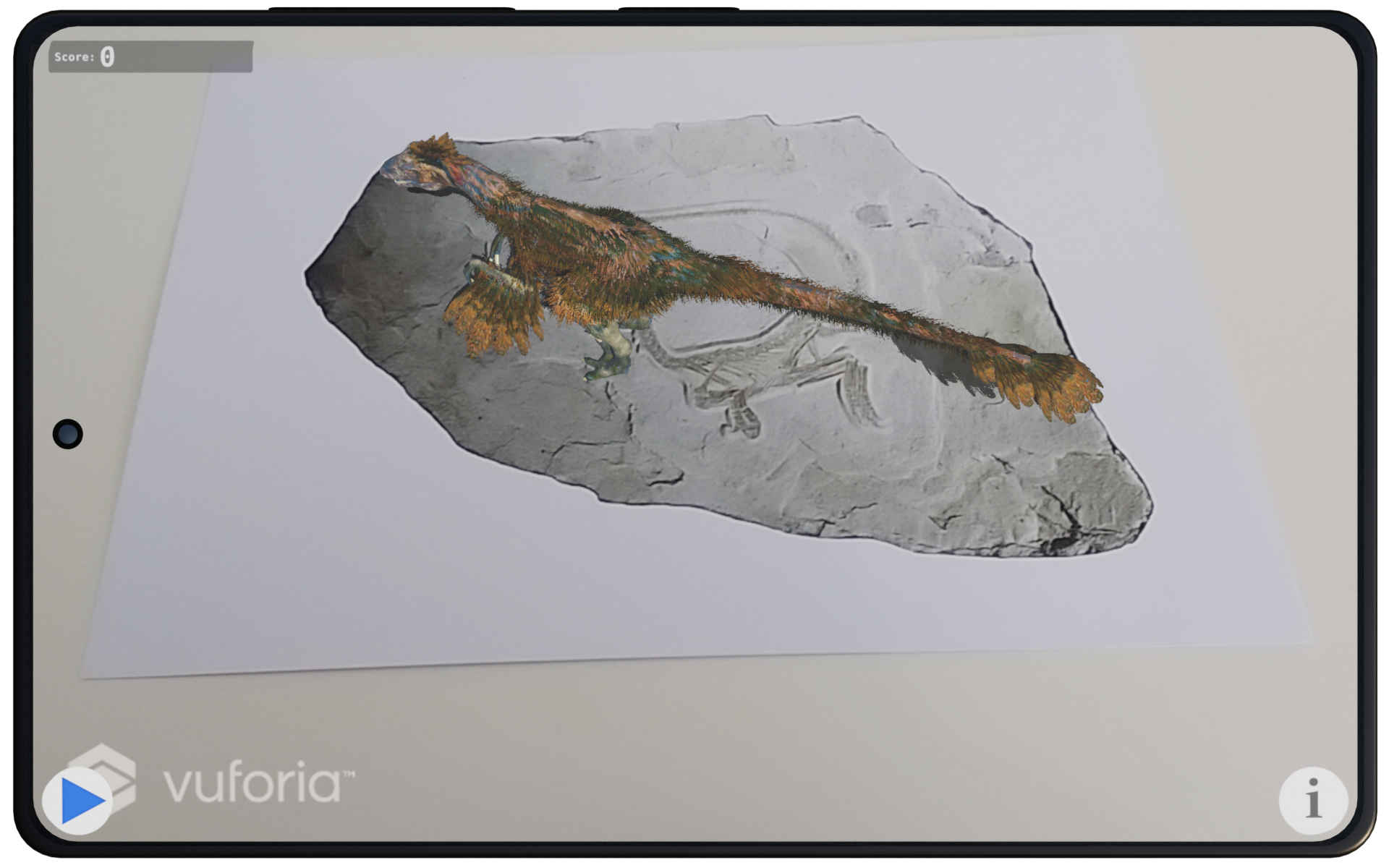 lebensgroßes Betonmodell im Saurierpark Kleinwelka oder Fossil aus dem Hobbysteinbruch Solnhofen