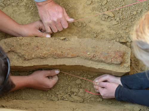 Student jobs in Archaeology