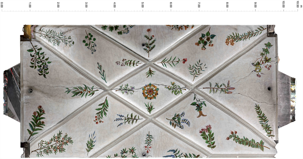 3D model - ceiling of the nave above the choir, orthophoto